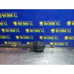 Recambio de transmision delantera derecha para citroen saxo 1.5 d x referencia OEM IAM   