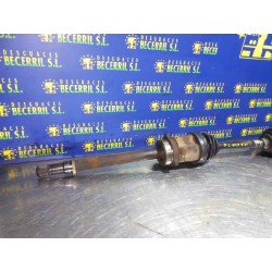 Recambio de transmision delantera derecha para nissan almera (n16/e) comfort referencia OEM IAM   