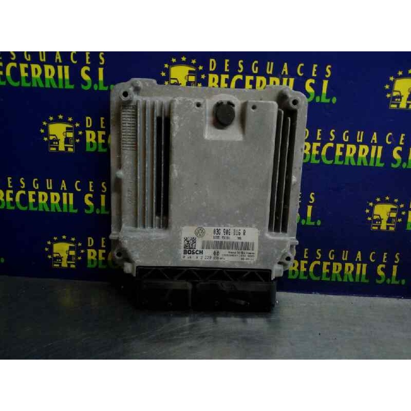 Recambio de centralita motor uce para volkswagen golf plus (5m1) highline referencia OEM IAM 03G906016R 0281012220 Recambio de centralita motor uce para volkswagen golf plus (5m1) highline referencia OEM IAM 03G906016R 0281012220