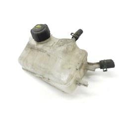 Recambio de deposito expansion para renault megane iii berlina 5 p authentique referencia OEM IAM 217100005R  