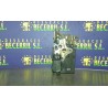 Recambio de cerradura puerta delantera derecha para daewoo kalos 1.2 se referencia OEM IAM 96272642  