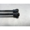 Recambio de amortiguadores maletero/ porton para peugeot 207 confort referencia OEM IAM   