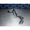 Recambio de antirrobo para citroen xsara coupe 1.9 diesel referencia OEM IAM   
