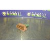 Recambio de resistencia calefaccion para fiat punto berlina (188) 1.2 8v active referencia OEM IAM   