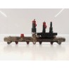 Recambio de rampa inyectora para citroen c8 2.0 hdi sx referencia OEM IAM 0445214017  