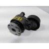 Recambio de tensor correa auxiliar para renault scenic ii authentique referencia OEM IAM   
