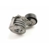 Recambio de tensor correa auxiliar para chevrolet captiva 2.0 vcdi lt referencia OEM IAM 96440419  