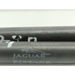 Recambio de amortiguadores capo para jaguar x-type wagon 2.0 d executive referencia OEM IAM 1X4316C826AC  