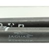 Recambio de amortiguadores capo para jaguar x-type wagon 2.0 d executive referencia OEM IAM 1X4316C826AC  