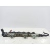 Recambio de rampa inyectora para renault scenic ii authentique referencia OEM IAM 0445214062  