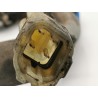 Recambio de sonda lambda para suzuki wagon r+ rb (mm) 1.3 gl referencia OEM IAM   