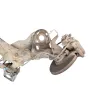 Recambio de puente trasero para seat leon (1m1) signo referencia OEM IAM   