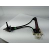 Recambio de elevalunas trasero derecho para seat leon (1m1) stella referencia OEM IAM   