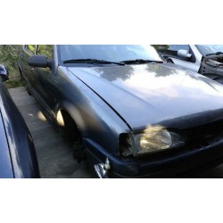 renault 19 (b/c/l53) del año 1995