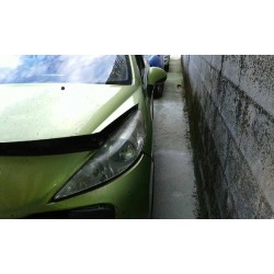 peugeot 207 del año 2007
