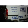 renault kangoo (f/kc0) del año 2001