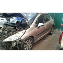 peugeot 207 del año 1950
