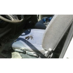 opel movano del año 2001