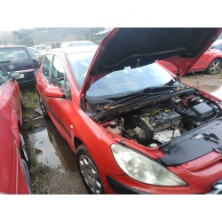 peugeot 307 (s1) del año 2001