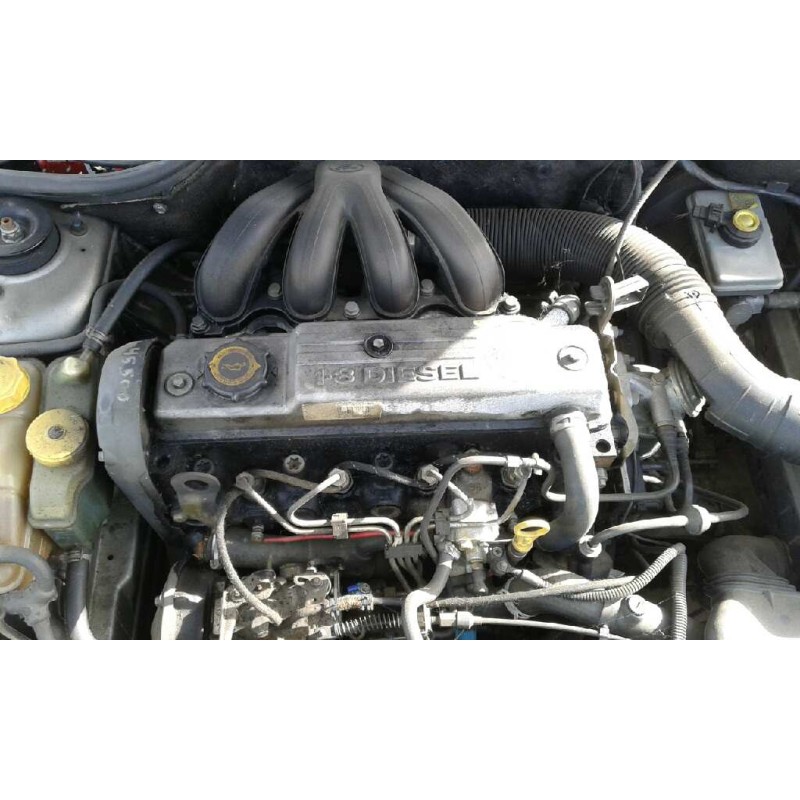 ford escort berl./turnier del año 1996 ford escort berl./turnier del año 1996