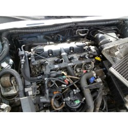 peugeot 406 berlina (s1/s2) del año 2003