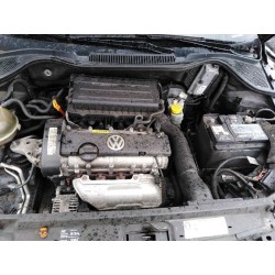 volkswagen polo (6r1) del año 2009