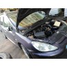 peugeot 307 break / sw (s1) del año 2003