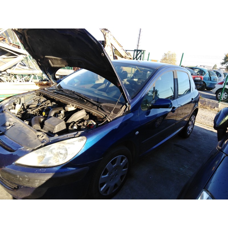 peugeot 307 (s1) del año 2002