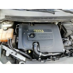 ford focus berlina (cap) del año 2005