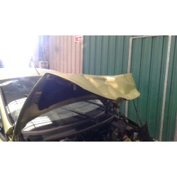 ford fiesta (cb1) del año 2011