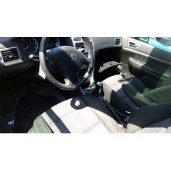 peugeot 307 break / sw (s1) del año 2003