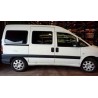 peugeot expert kasten standard del año 2007