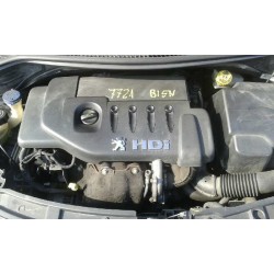 peugeot 207 del año 1950