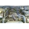 ford focus berlina (cak) del año 1950