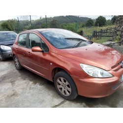 peugeot 307 (s1) del año 2001