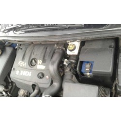 peugeot 307 (s1) del año 2003