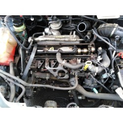 ford transit connect (tc7) del año 2005