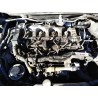 toyota corolla verso (r1) del año 2008