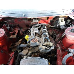 triumph tr-7 del año 1981