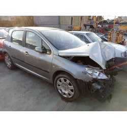 peugeot 307 (s1) del año 2001