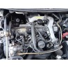 nissan primera berlina (p12) del año 2003