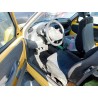 fiat seicento (187) del año 1998