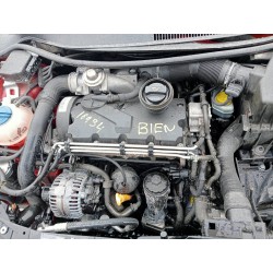 seat ibiza (6l1) del año 2007