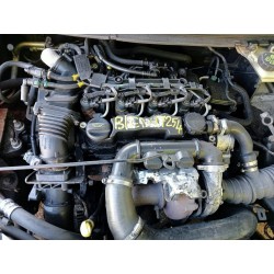 ford focus berlina (cap) del año 2005