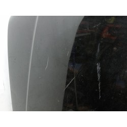 Recambio de capot para nissan pathfinder (r51) 2.5 dci chrome referencia OEM IAM   