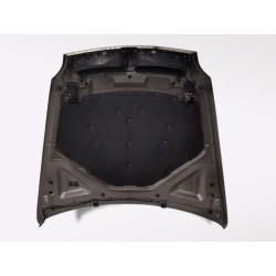 Recambio de capot para bmw x5 (e70) 3.0d referencia OEM IAM   