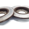 Recambio de disco freno trasero para citroen xsara picasso 1.6 hdi 110 exclusive referencia OEM IAM   
