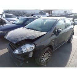 fiat punto (evo) (199) del año 2013