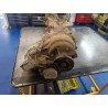 Recambio de caja cambios para kia sorento 2.5 crdi cat referencia OEM IAM D4CB  