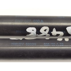 Recambio de amortiguadores maletero/ porton para volkswagen polo berlina (6n2) conceptline referencia OEM IAM 6N0827550A  
